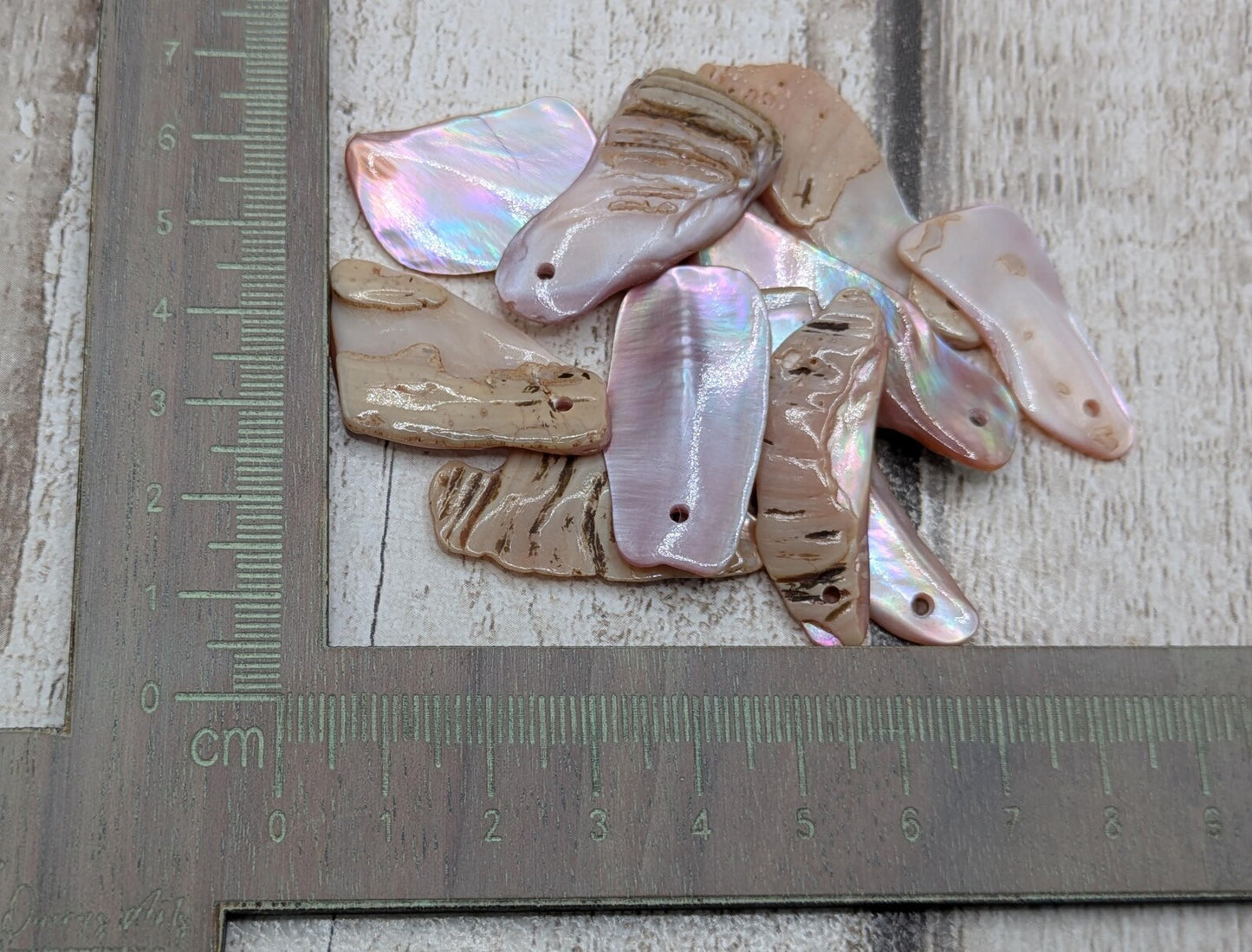 10 New Zealand fresh water mussel shell top drilled beads.