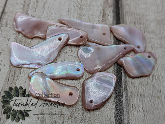 10 New Zealand pink freshwater mussel beads.