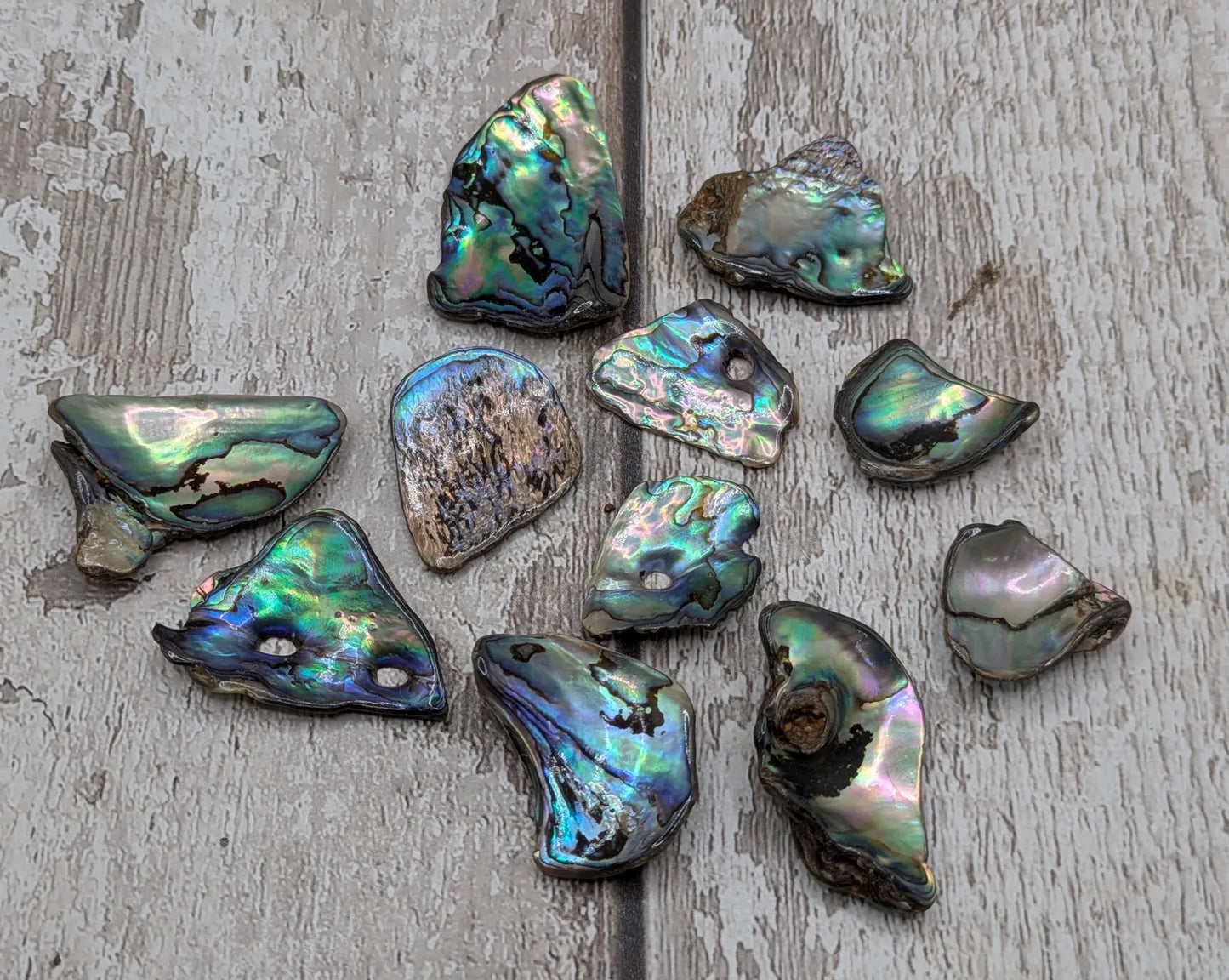 New Zealand rainbow pāua abalone shell odd shape pouch.