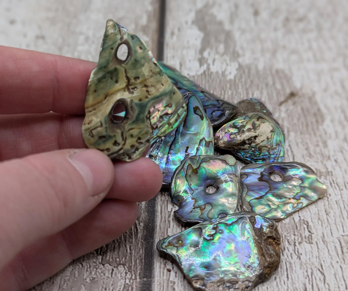 New Zealand rainbow pāua abalone shell odd shape pouch.