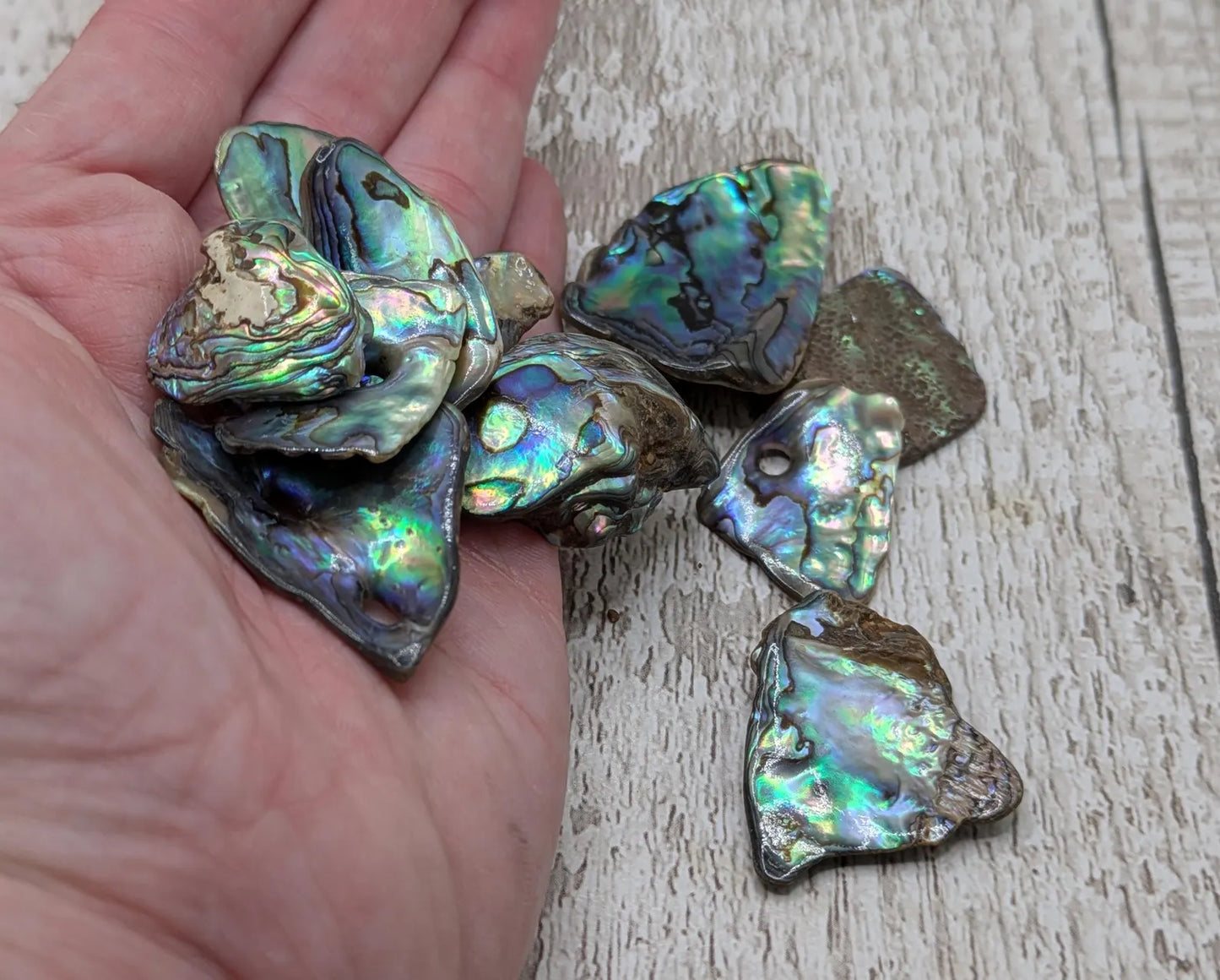 New Zealand rainbow pāua abalone shell odd shape pouch.