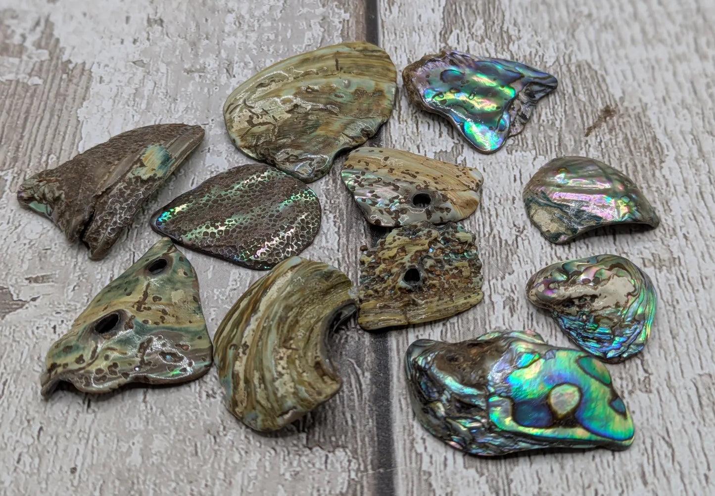 New Zealand rainbow pāua abalone shell odd shape pouch.