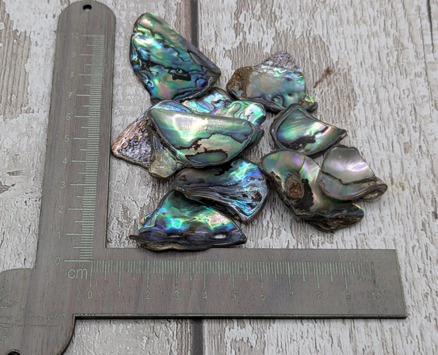 New Zealand rainbow pāua abalone shell odd shape pouch.