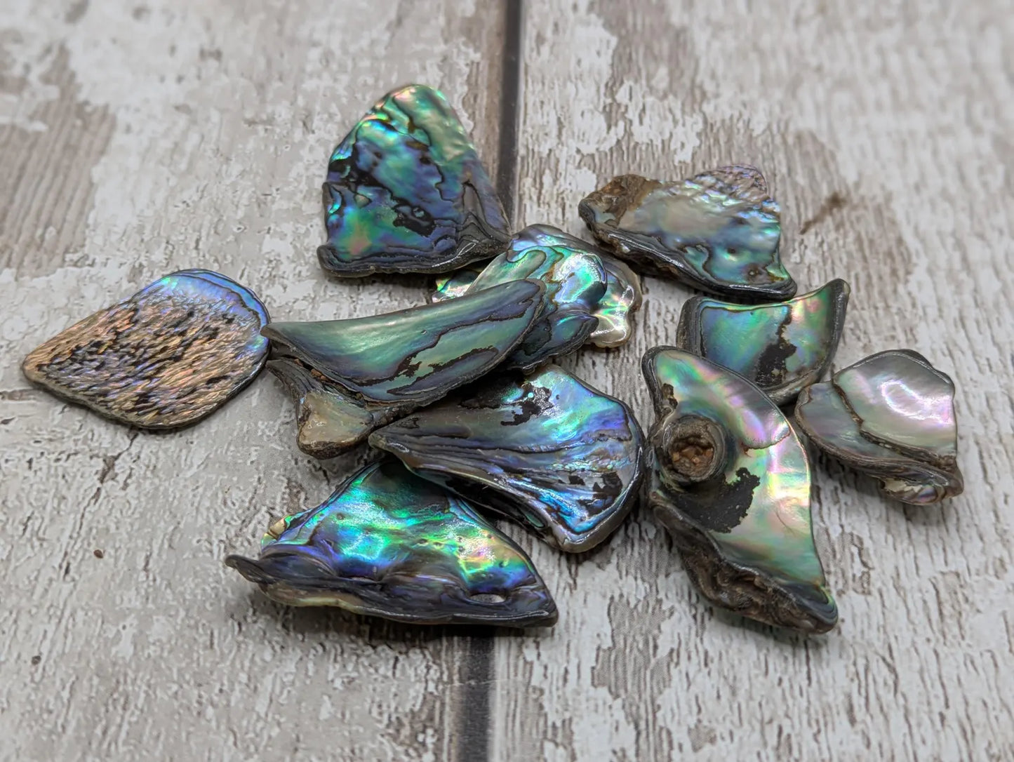 New Zealand rainbow pāua abalone shell odd shape pouch.