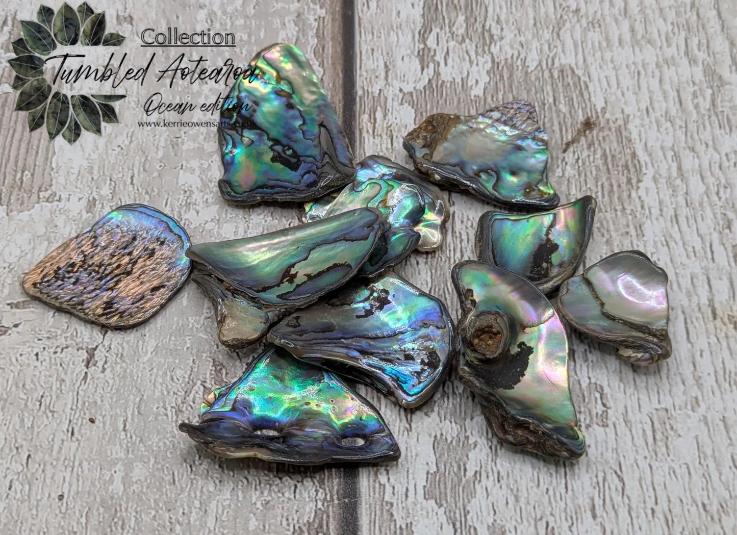New Zealand rainbow pāua abalone shell odd shape pouch.
