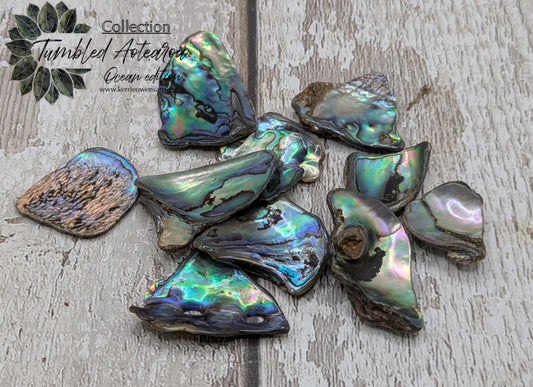 New Zealand rainbow pāua abalone shell odd shape pouch.