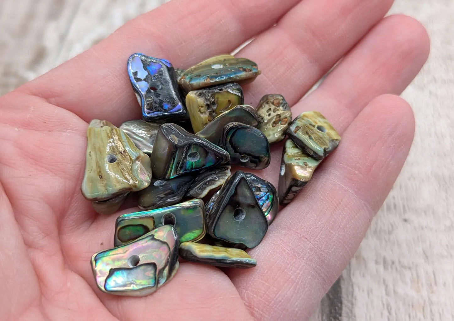 20 central drilled new Zealand rainbow pāua abalone shell beads.