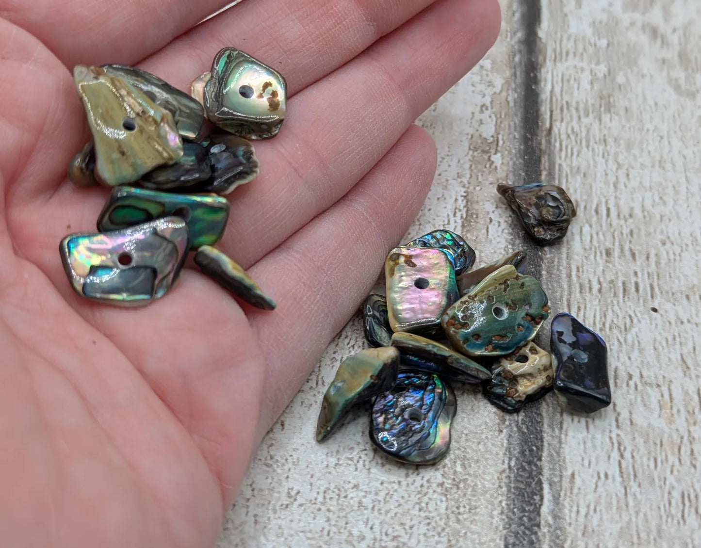 20 central drilled new Zealand rainbow pāua abalone shell beads.