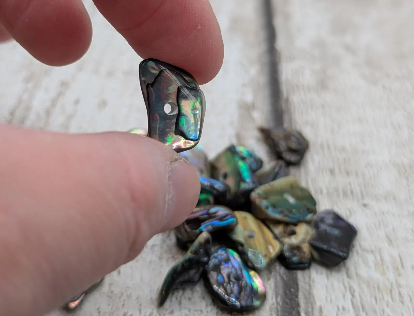 20 central drilled new Zealand rainbow pāua abalone shell beads.