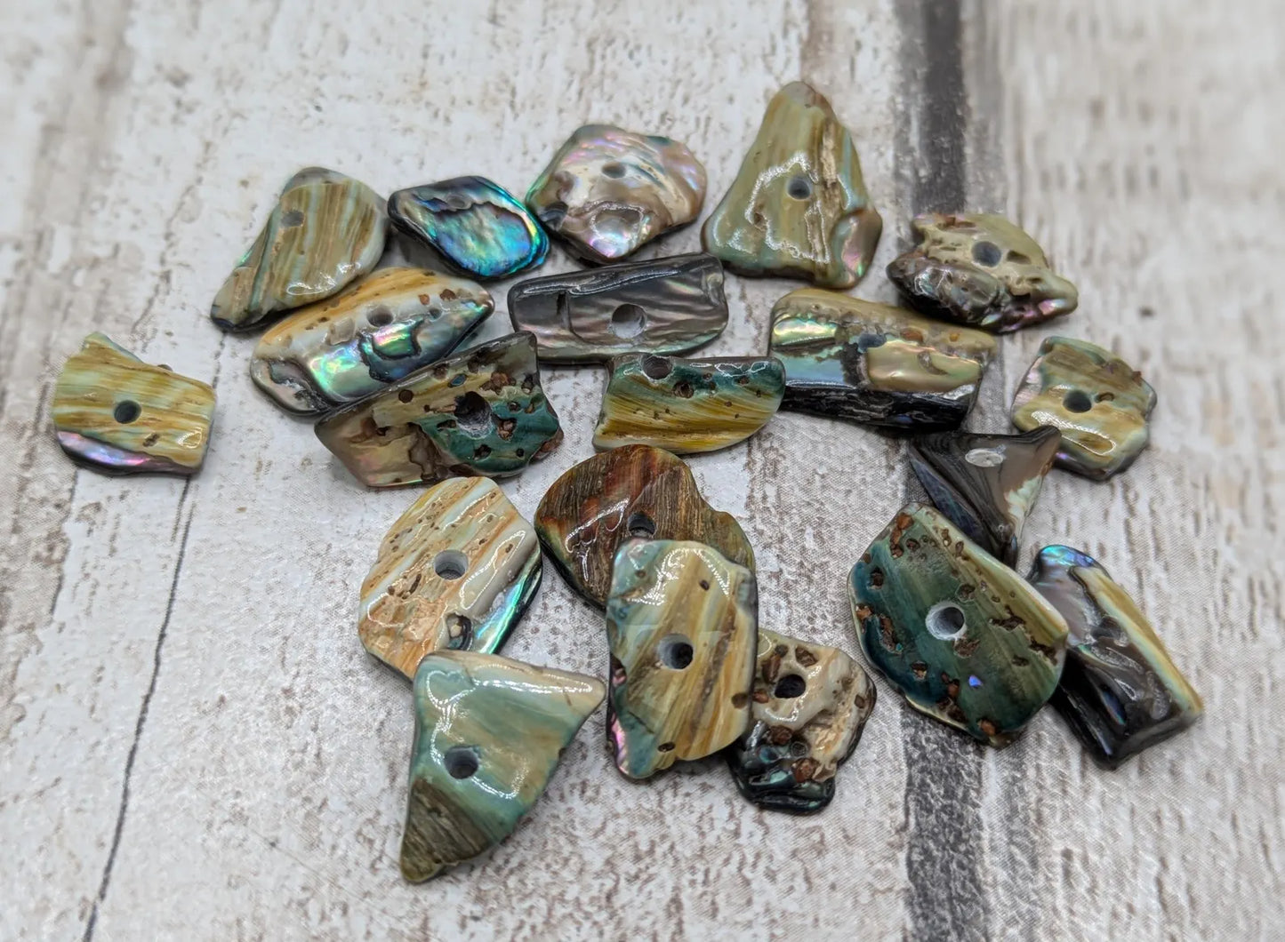 20 central drilled new Zealand rainbow pāua abalone shell beads.