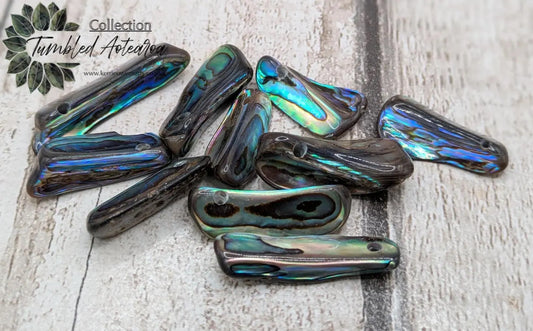 20 central drilled new Zealand rainbow pāua abalone shell beads.