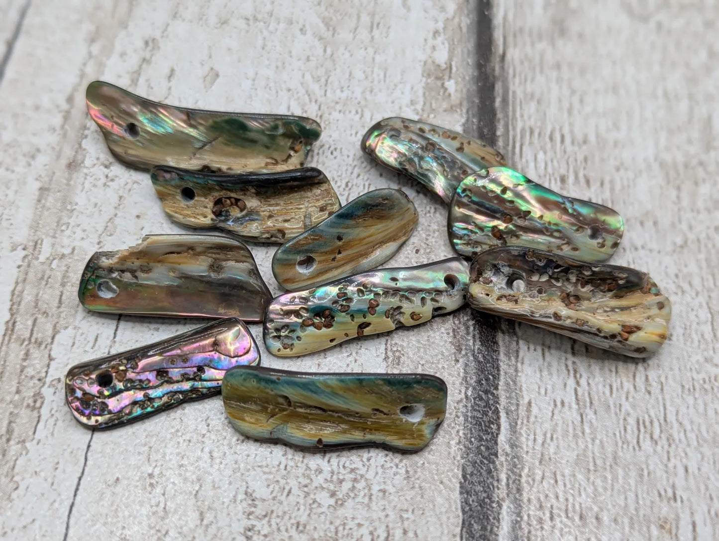 20 central drilled new Zealand rainbow pāua abalone shell beads.
