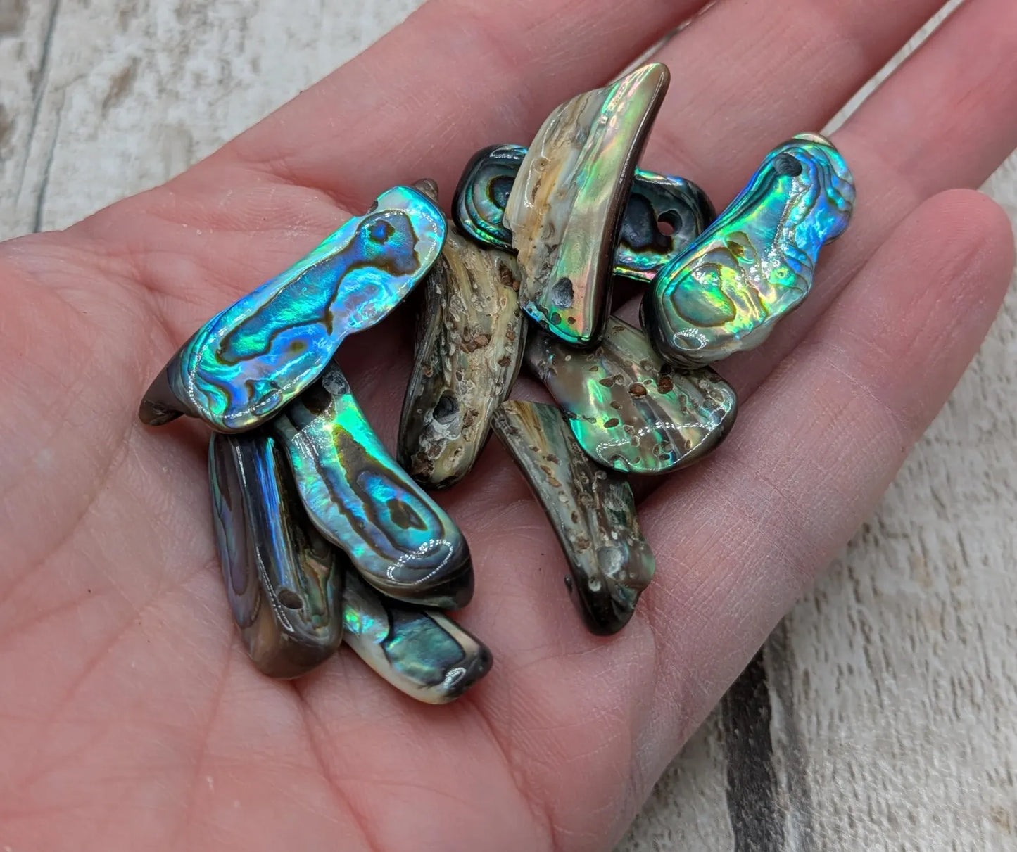 20 central drilled new Zealand rainbow pāua abalone shell beads.