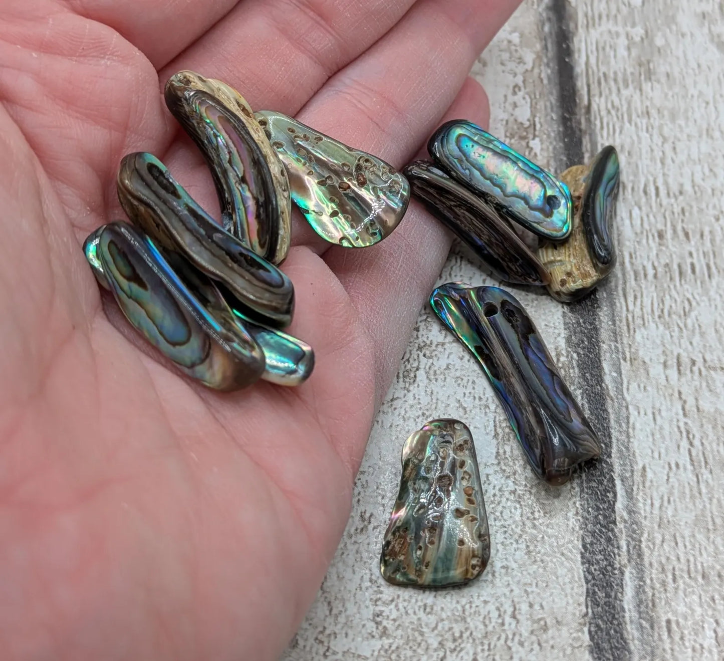 20 central drilled new Zealand rainbow pāua abalone shell beads.