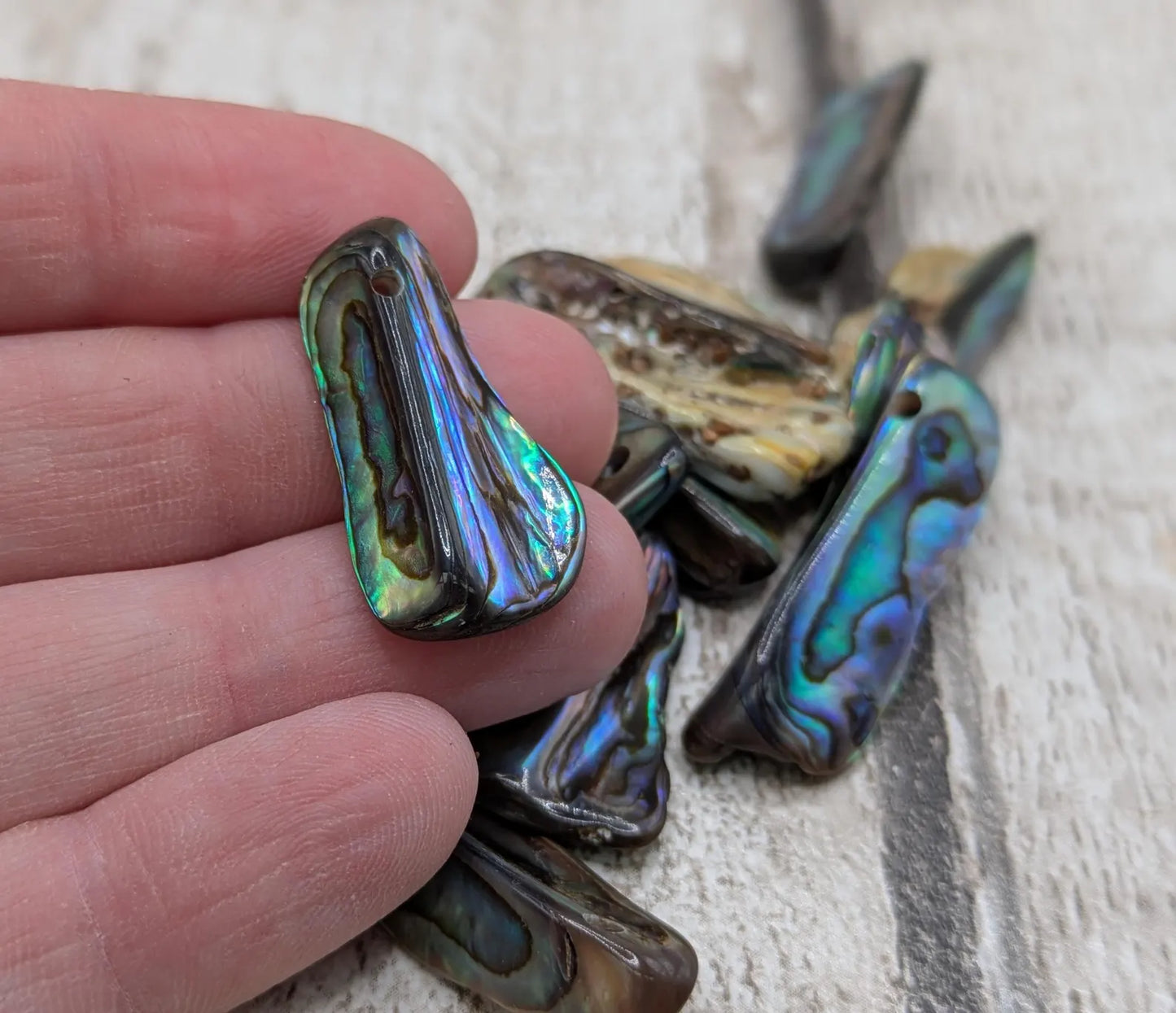 20 central drilled new Zealand rainbow pāua abalone shell beads.