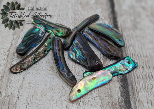 10 new Zealand rainbow pāua abalone shell beads.