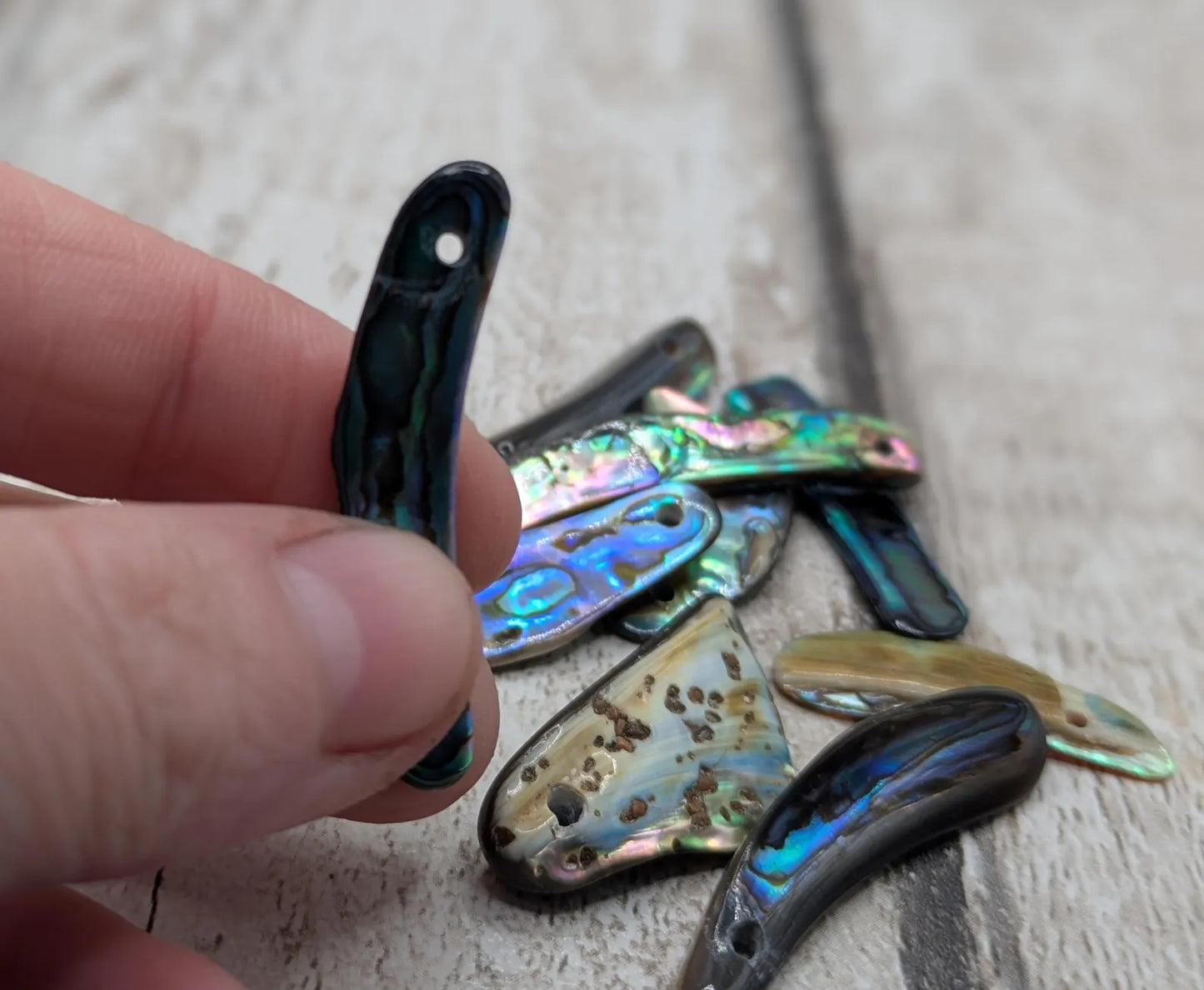 10 new Zealand rainbow pāua abalone shell beads.