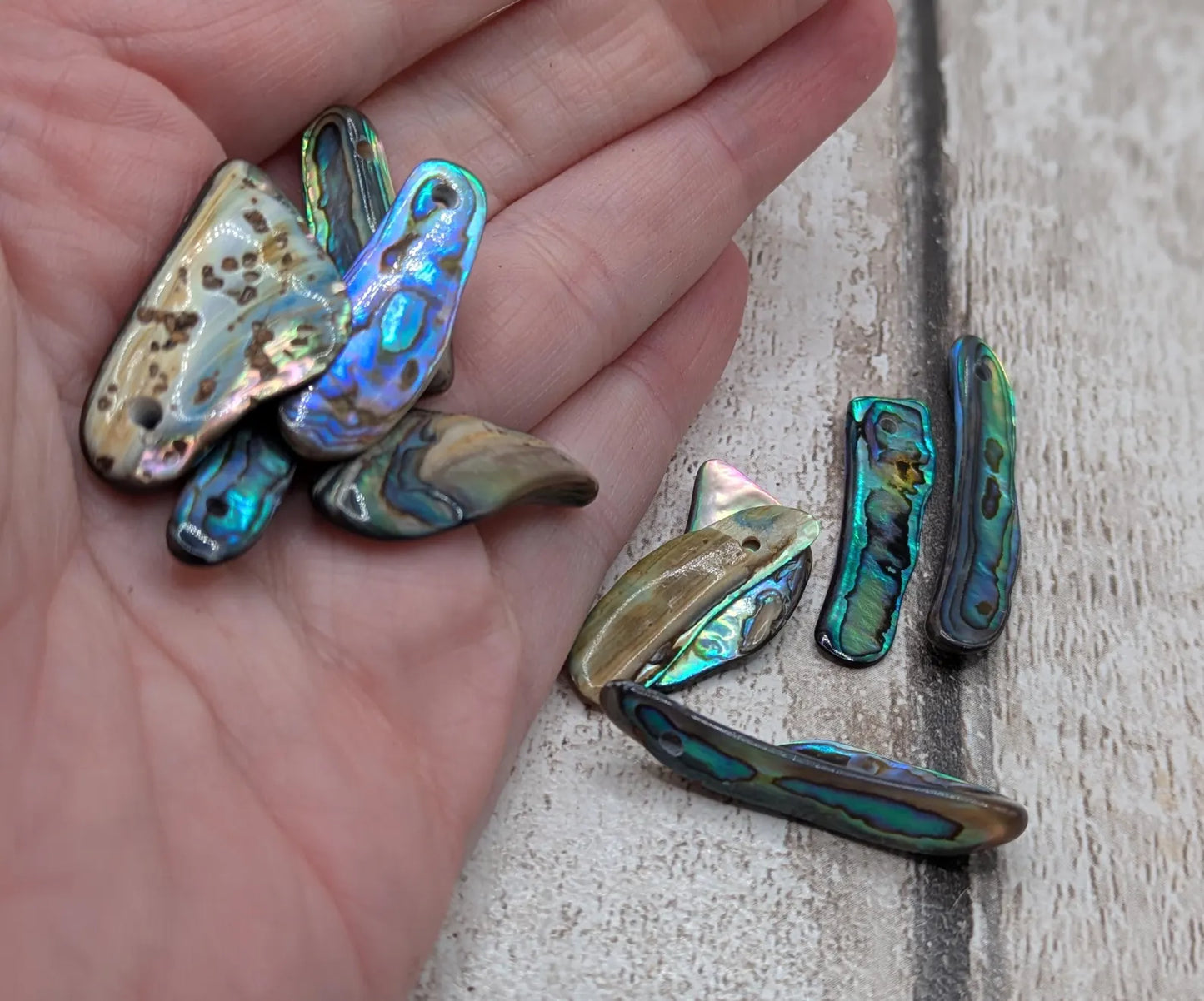 10 new Zealand rainbow pāua abalone shell beads.