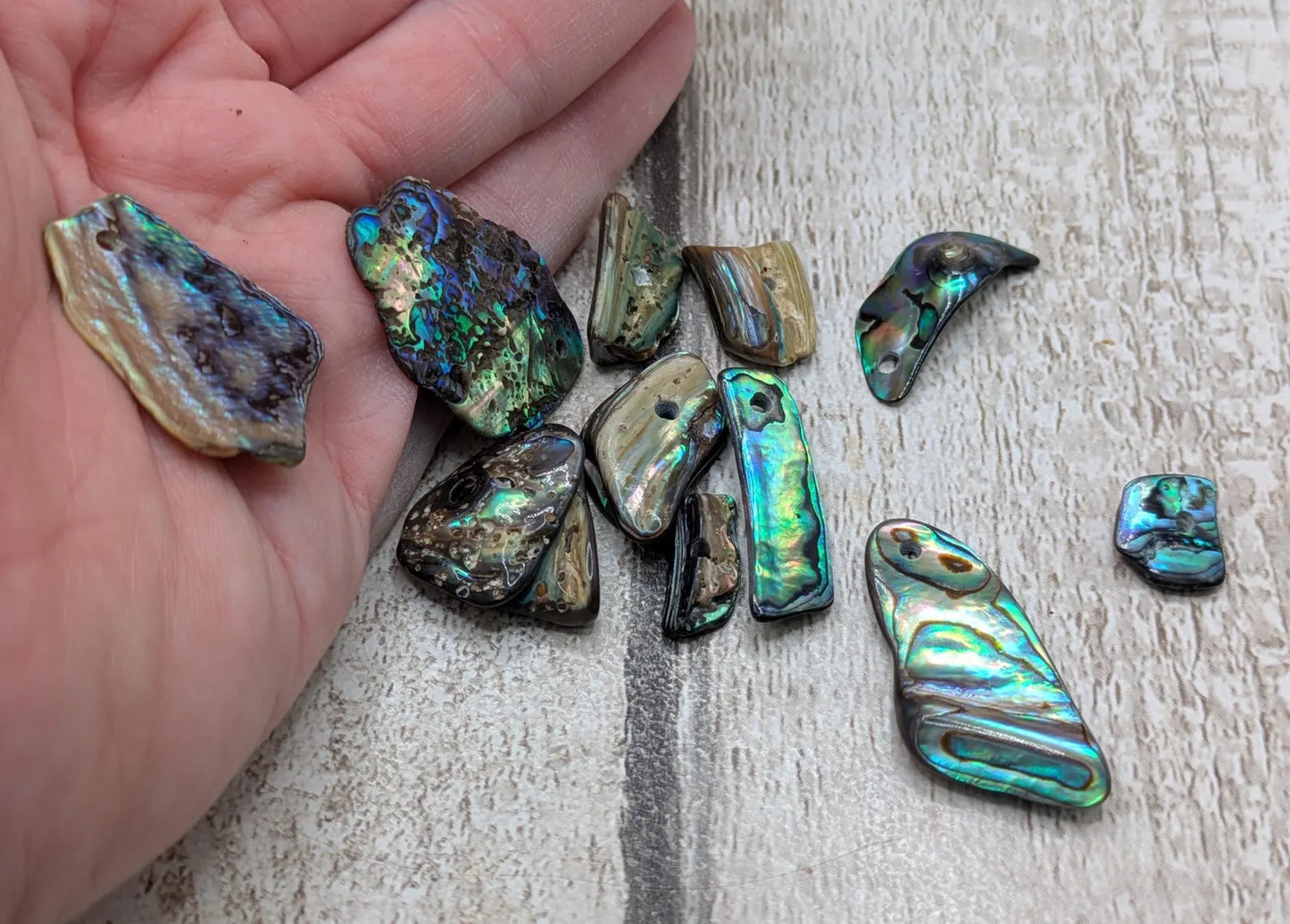 13 New Zealand rainbow pāua abalone shell odd beads.