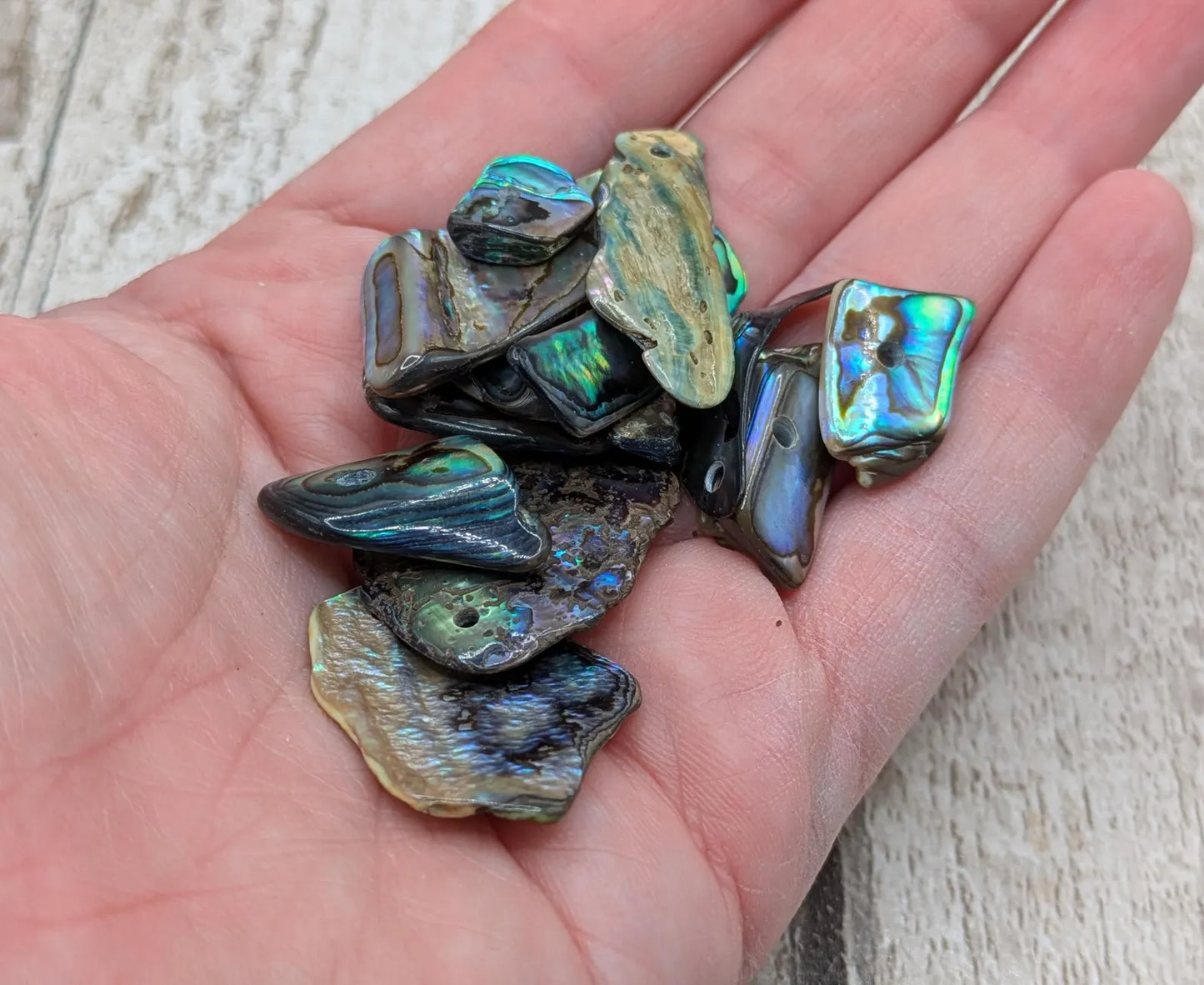 13 New Zealand rainbow pāua abalone shell odd beads.