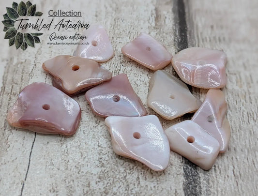 10 Chunky new Zealand freshwater pink mussel shell center drilled beads.