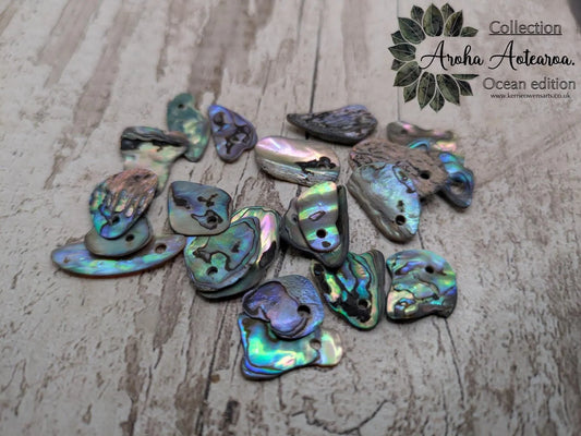 20 Rainbow NZ Pāua Shell Beads – Top-Drilled Natural Abalone for Jewelry Making & Art Projects.