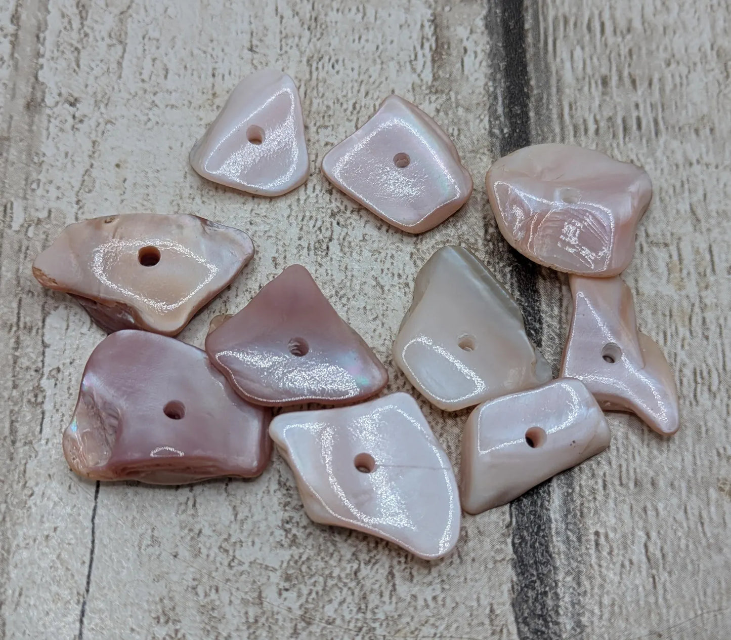 10 Chunky new Zealand freshwater pink mussel shell center drilled beads.