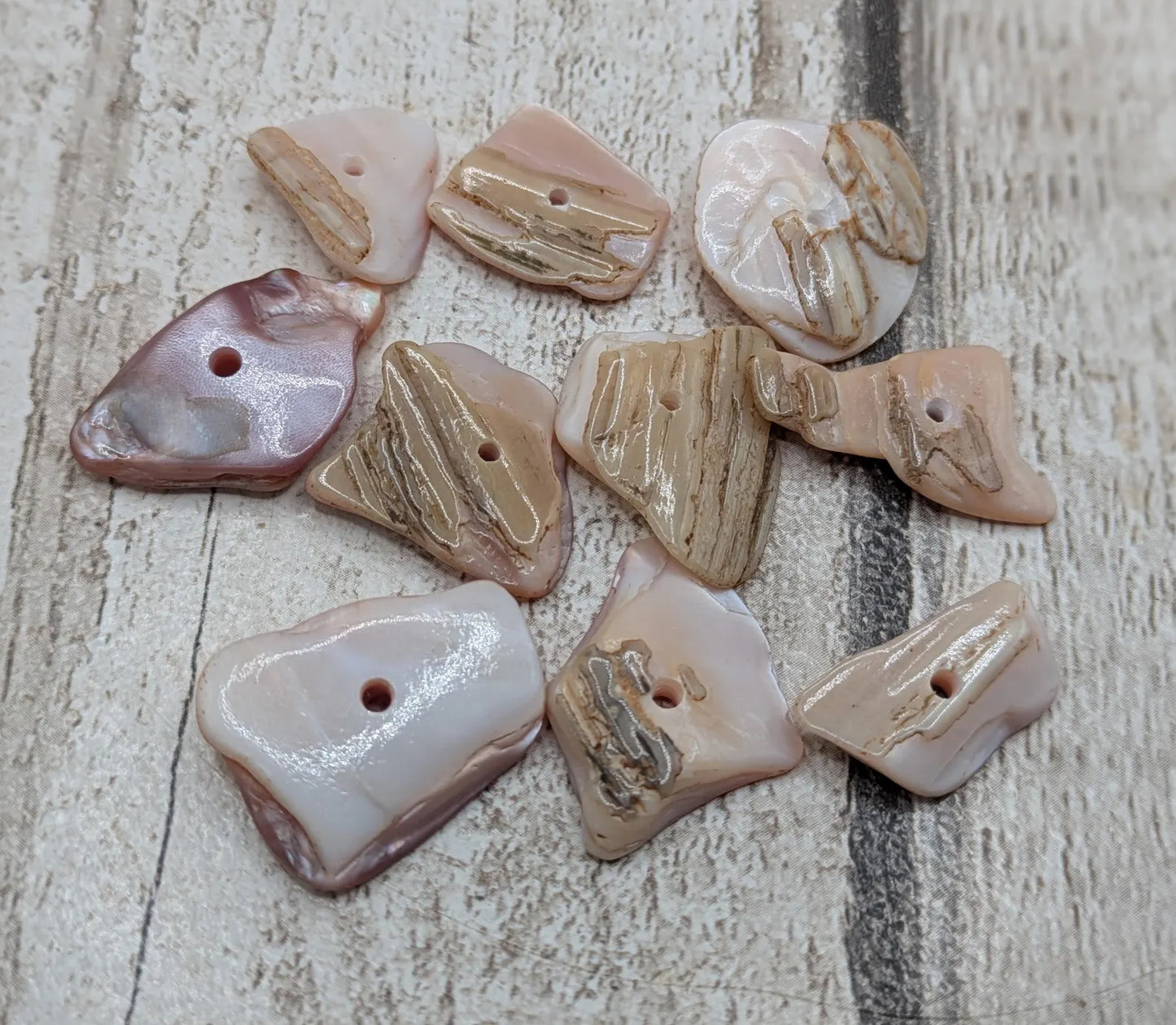 10 Chunky new Zealand freshwater pink mussel shell center drilled beads.