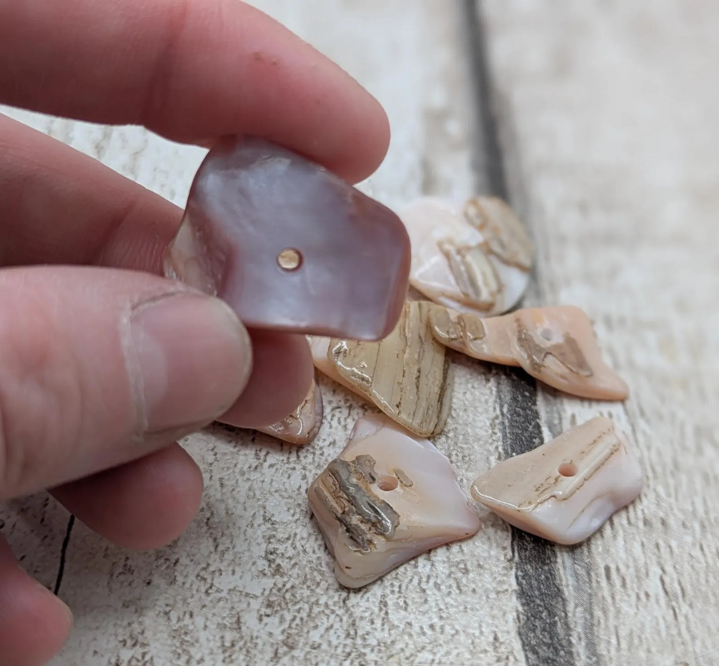 10 Chunky new Zealand freshwater pink mussel shell center drilled beads.