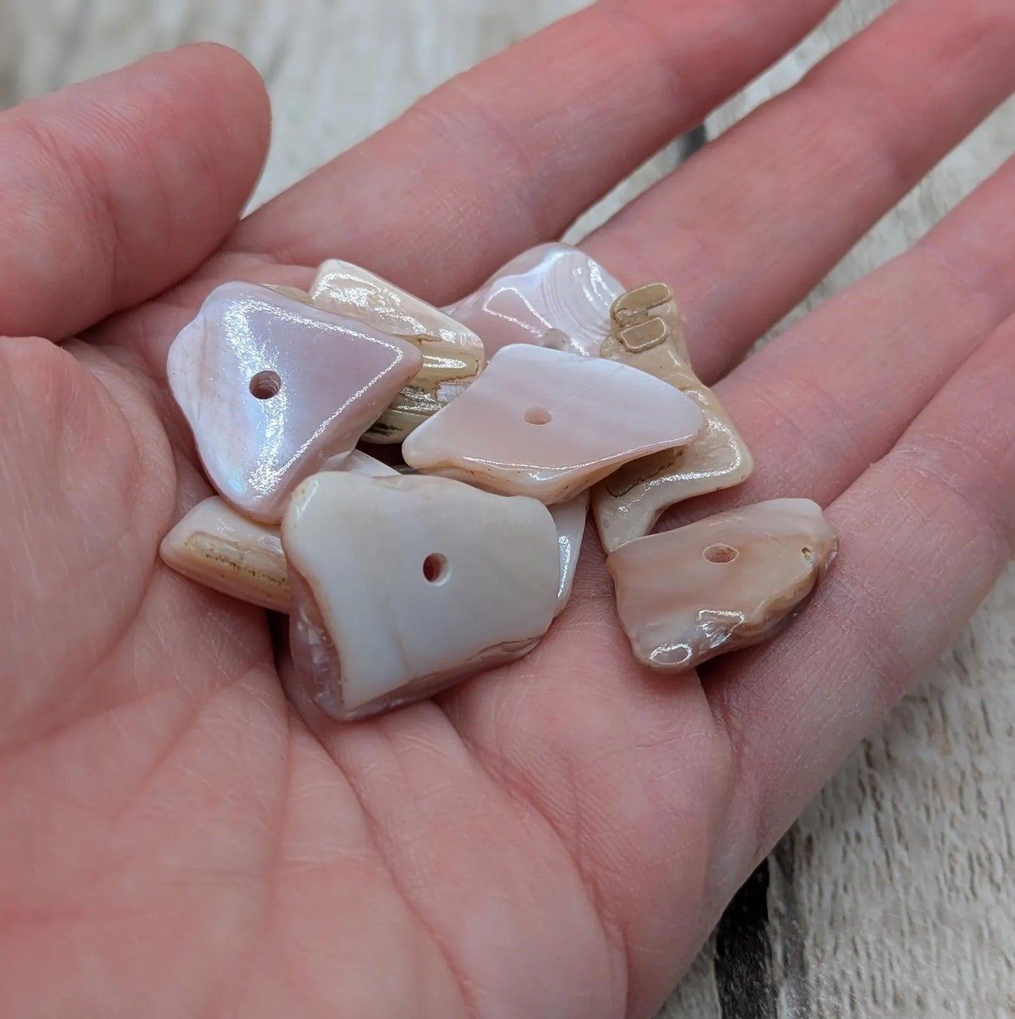 10 Chunky new Zealand freshwater pink mussel shell center drilled beads.
