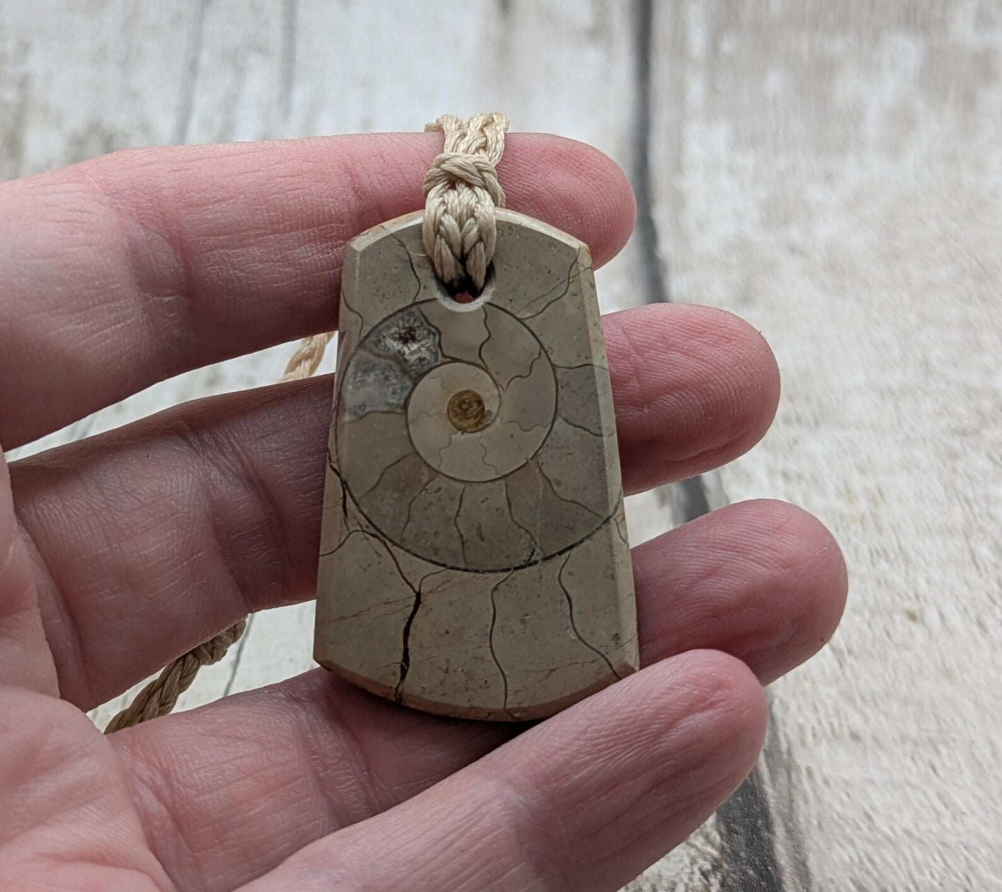 Jurassic Charmouth Ammonite Pendant – Calcite-Crystal in Limestone Fossil Necklace - Natural history - Fibonacci sequence amulet.