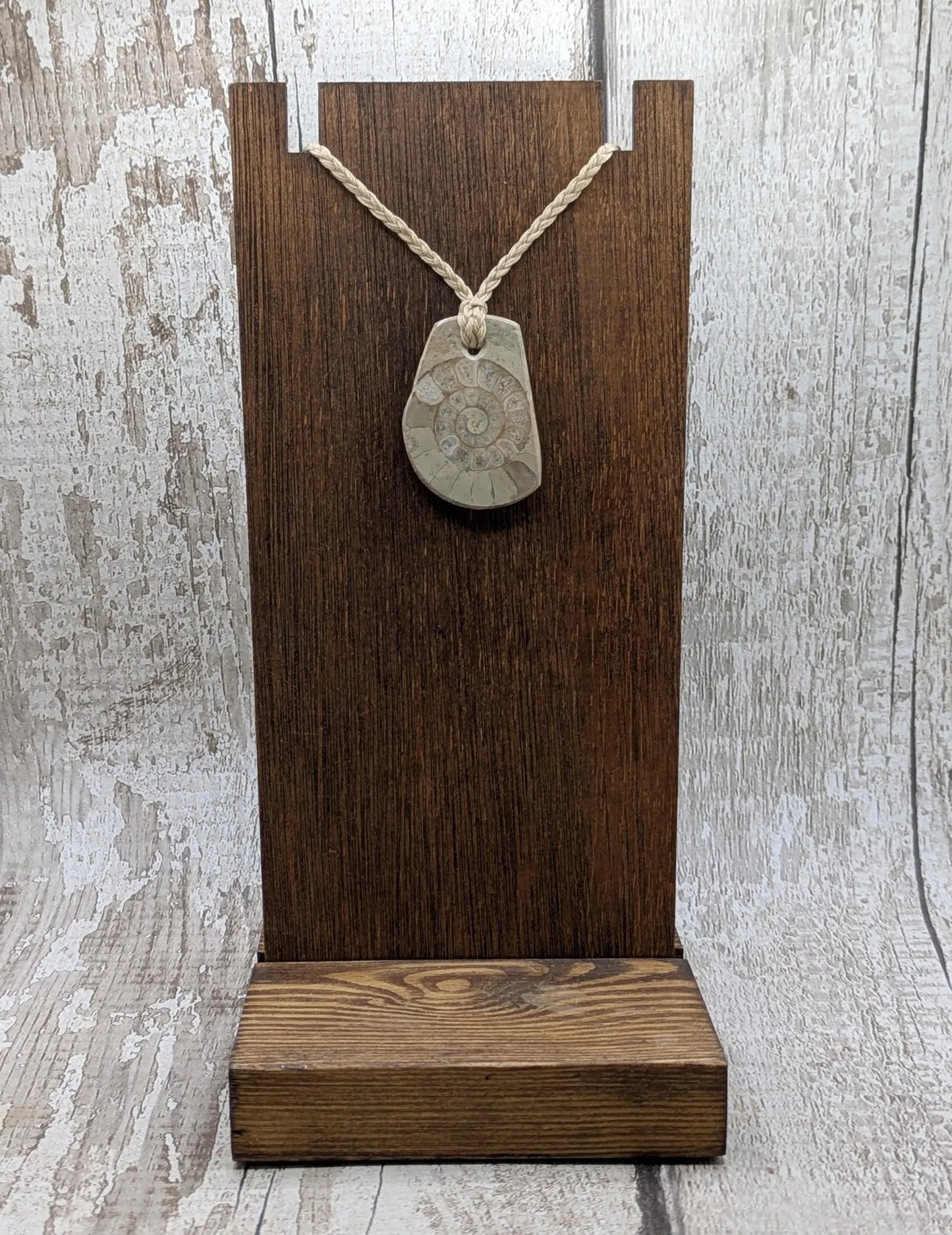 Jurassic Charmouth Ammonite Pendant – Calcite-Crystal in Limestone Fossil Necklace - Natural history - Fibonacci sequence amulet.