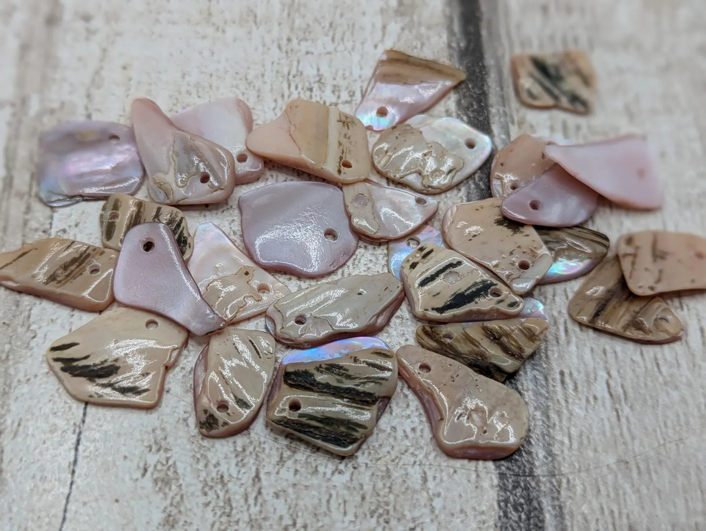 New Zealand top drilled tumbled pink fresh water mussel shell.