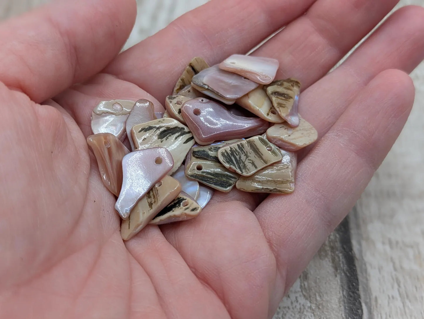 New Zealand top drilled tumbled pink fresh water mussel shell.