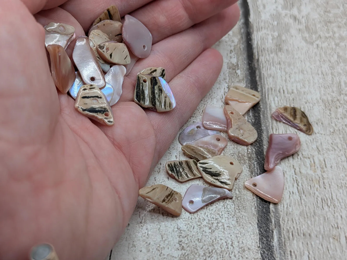 New Zealand top drilled tumbled pink fresh water mussel shell.