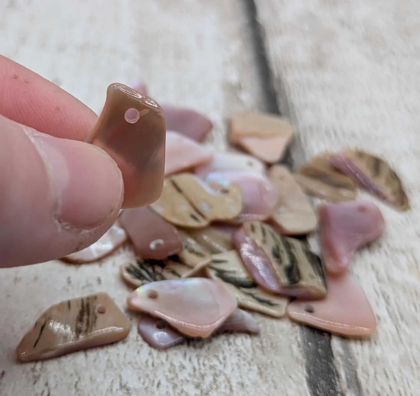 New Zealand top drilled tumbled pink fresh water mussel shell.
