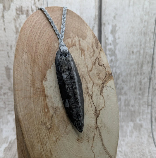 Polished Orthoceras Fossil Pendant – Ancient Cephalopod Fossil from Morocco | 400 Million Year Old Natural History Gift