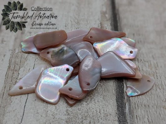 20 top drilled New Zealand pink mussel shell beads.