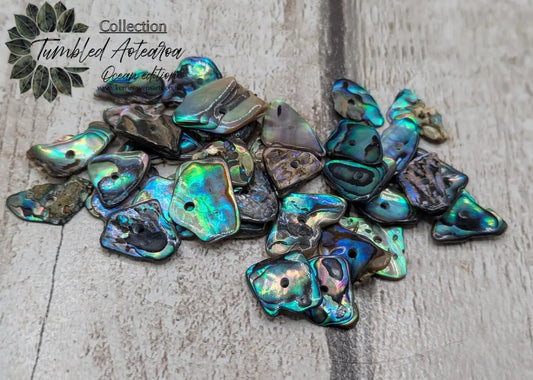 20 New Zealand rainbow pāua abalone shell central tiny beads.