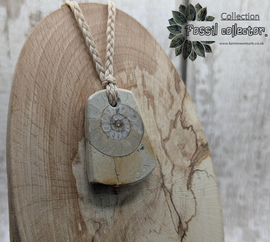 Jurassic Charmouth Ammonite Pendant – Calcite-Crystal in Limestone Fossil Necklace - Natural history - Fibonacci sequence amulet.