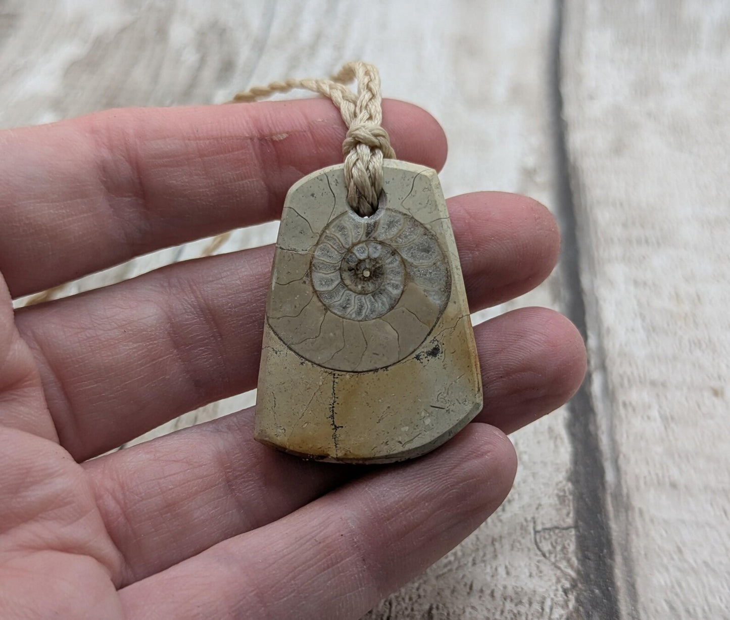 Jurassic Charmouth Ammonite Pendant – Calcite-Crystal in Limestone Fossil Necklace - Natural history - Fibonacci sequence amulet.