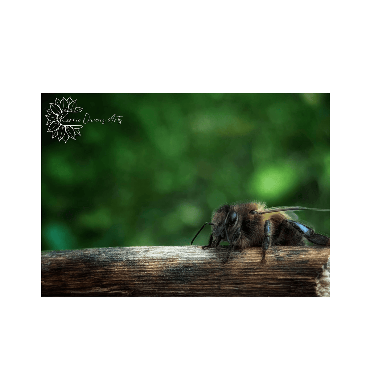 No Frame Framed art print Front
