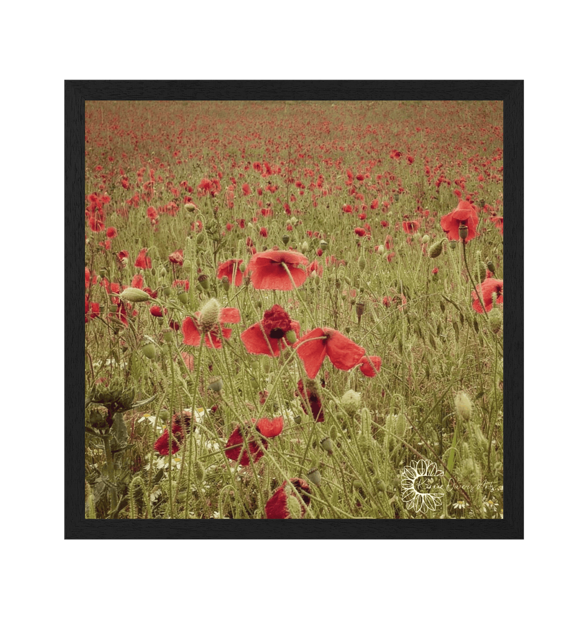 Black Frame Framed art print Front