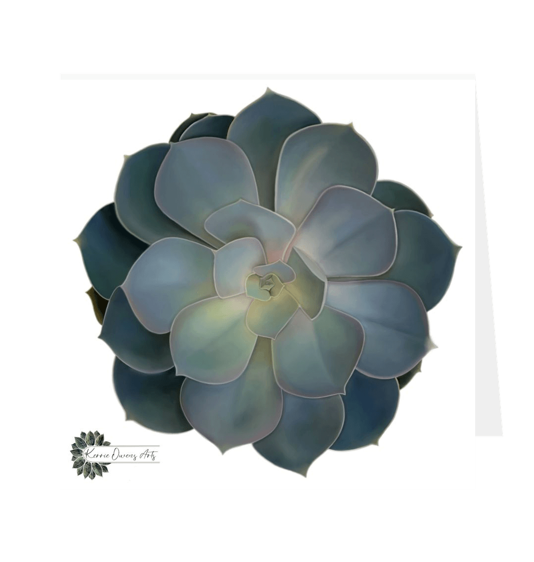 White Green ombr\u00e9 succulent plant greetings card.