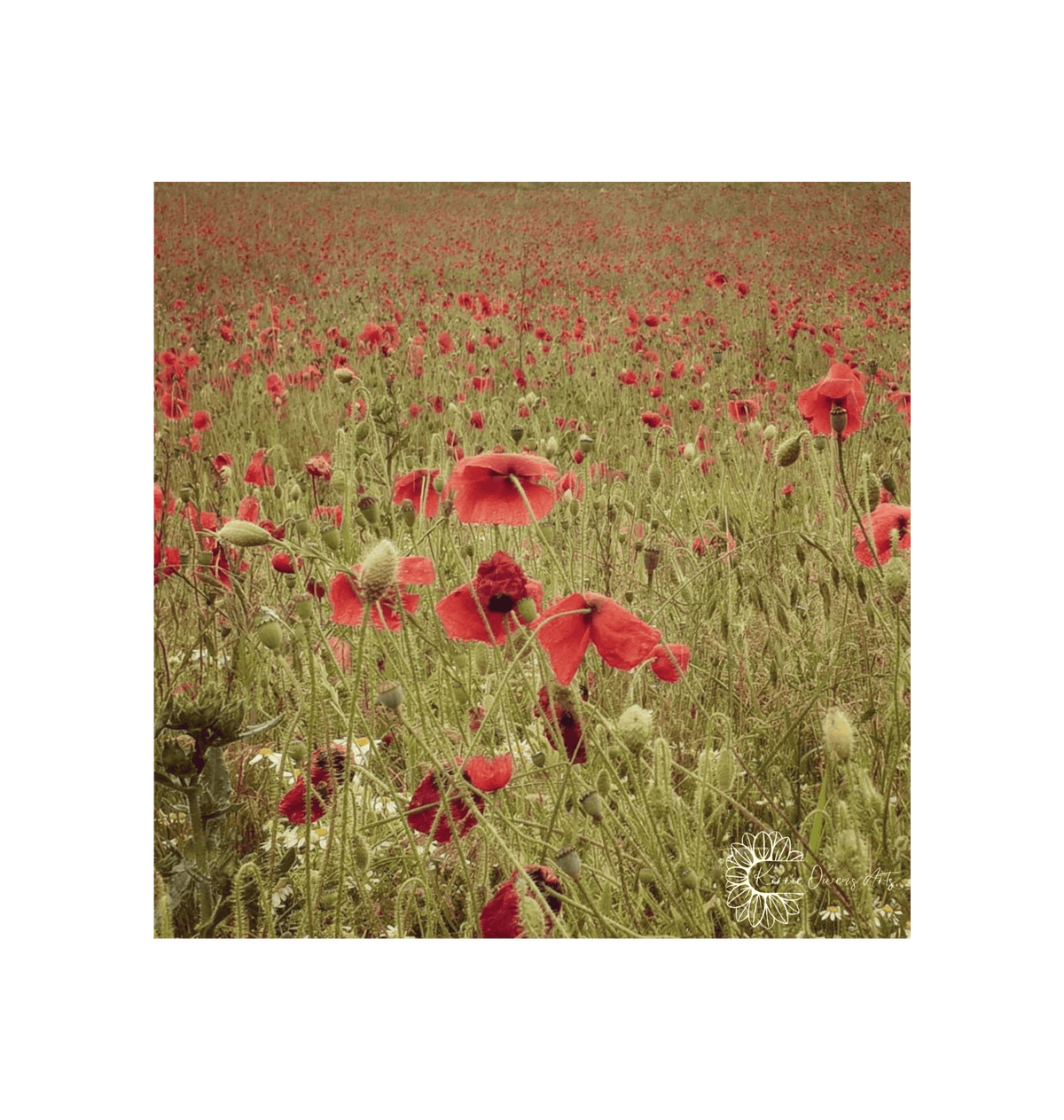 No Frame Framed art print Front