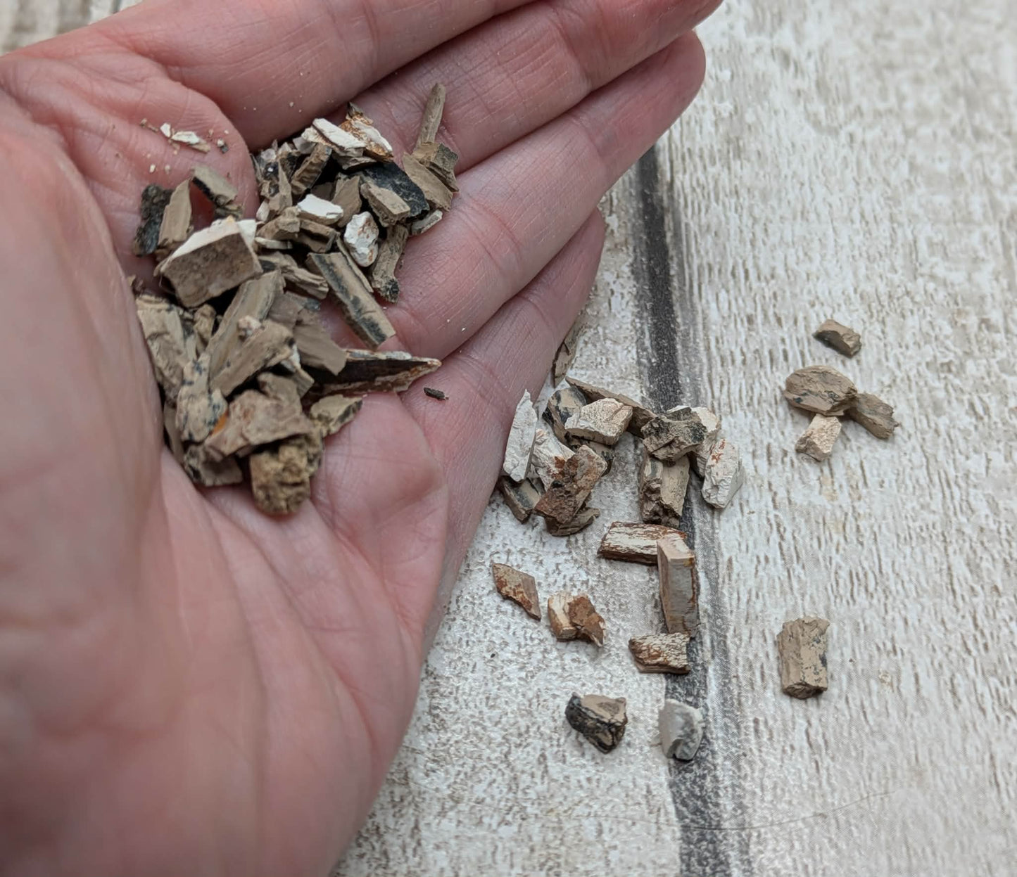 Mammoth ivory vial for jewellery inlay or spell ingredients.