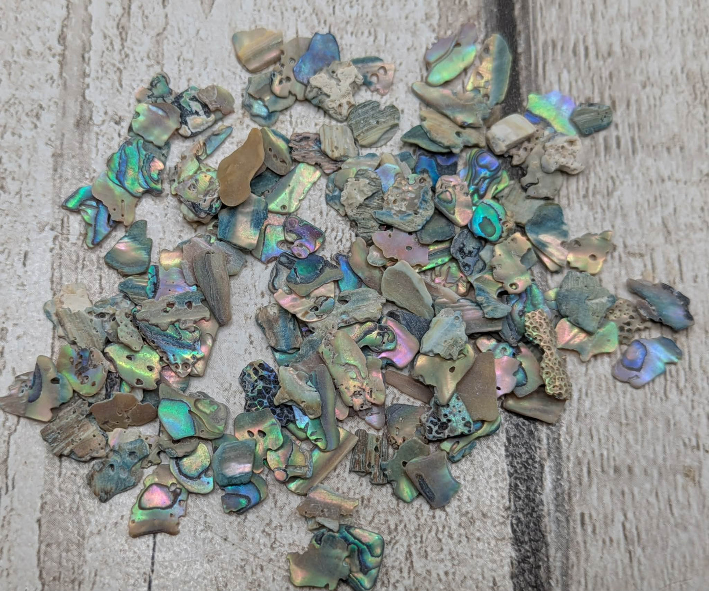 New Zealand abalone Pāua shell chip.