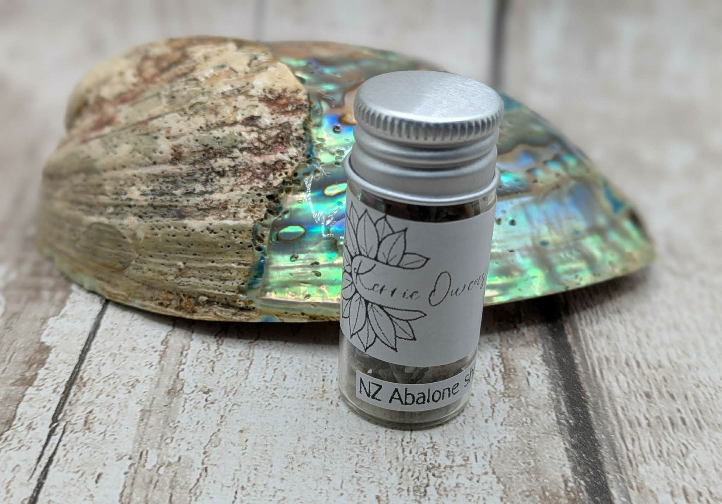 New Zealand abalone Pāua shell chip.