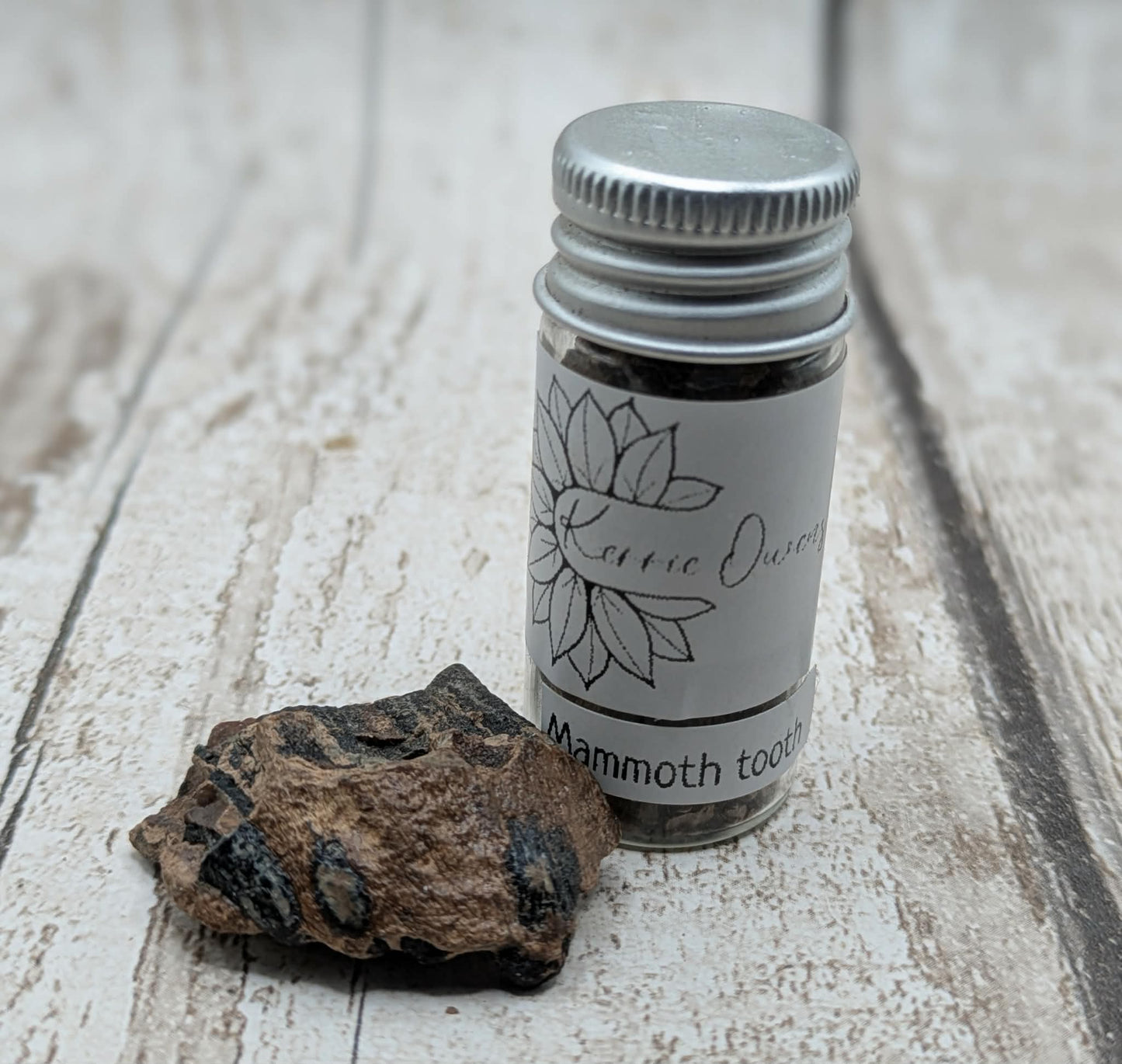 Mammoths tooth vial for jewellery inlay or spell ingredients.