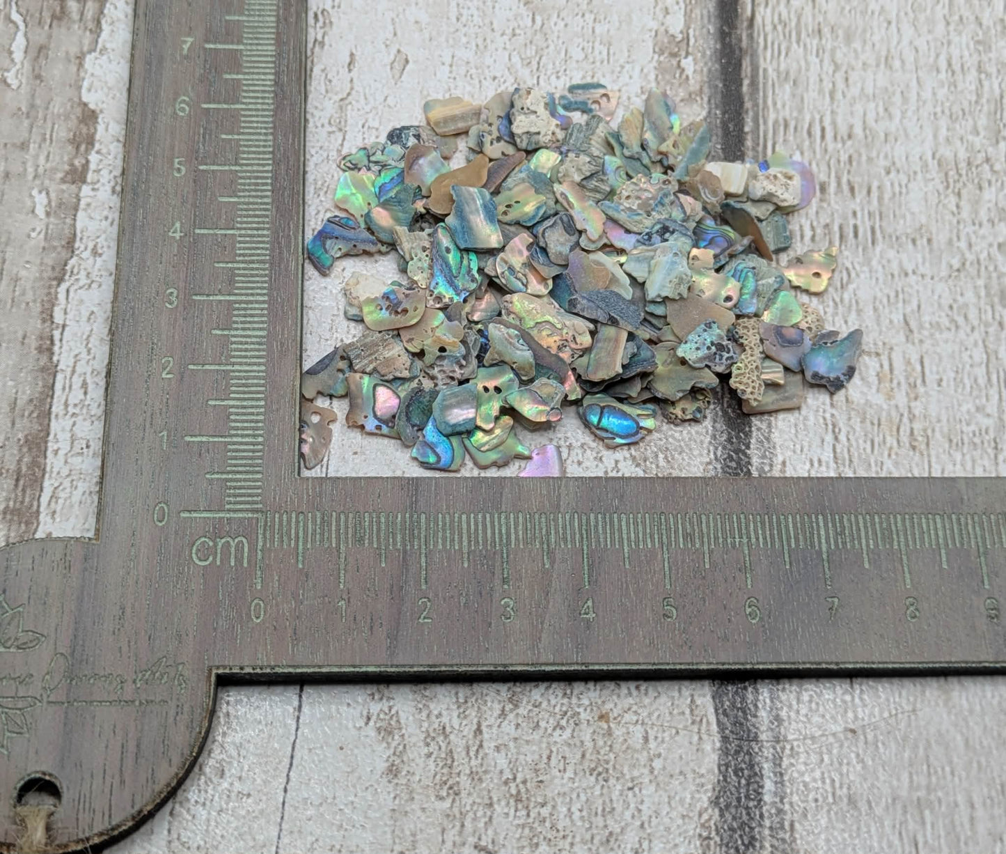 New Zealand abalone Pāua shell chip.